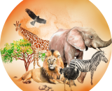 Safari 2 fi20cm hostija