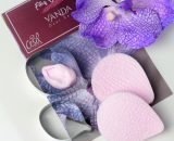 Vanda set za orhideju